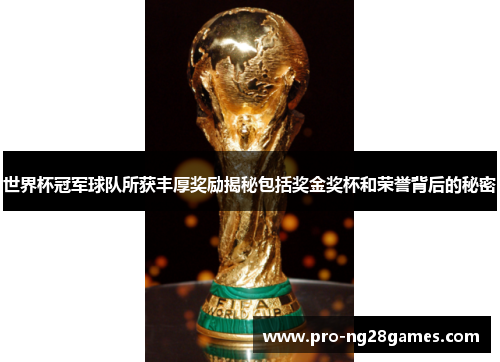 世界杯冠军球队所获丰厚奖励揭秘包括奖金奖杯和荣誉背后的秘密