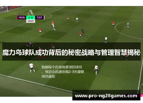 魔力鸟球队成功背后的秘密战略与管理智慧揭秘